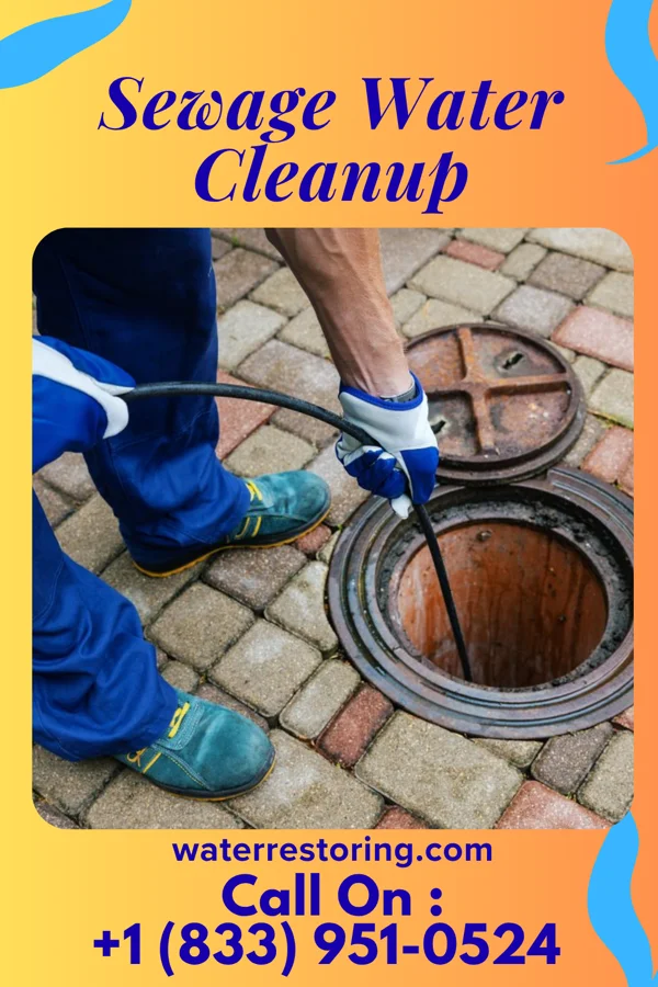Sewage Water Cleanup in Lehigh, OK